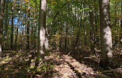 TICINO DRIVE, REED CITY, MI 49677
