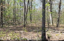 000-40 S Plainview Road, Anderson, MO 64831