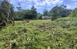 MOANA ST, Pahoa, HI 96778