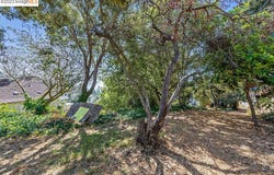 614 Cragmont Ave, Berkeley, CA 94708