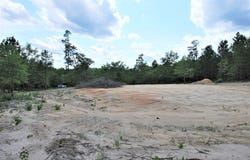 6 Sable Lane, Trenton, SC 29847