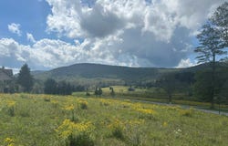 38 Waterfront Drive, Davis, WV 26260