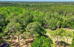 Carter Rd, St Augustine, FL 32086