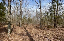 LAKEPOINTE DRIVE lot: 4, Clarkridge, AR 72623