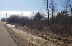 BIALOZYNSKI Road, PULASKI, WI 64162