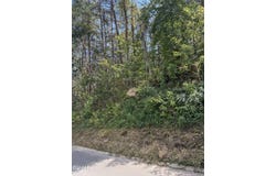Progress Hill Boulevard, Pigeon Forge, TN 37863