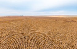 AA Road, Lenora, KS 67642