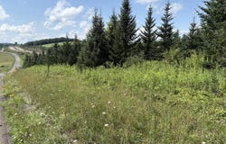 BLOCHER Road, FROSTBURG, MD 21532