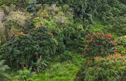 ManatÃ, ManatÃ, PR 00612