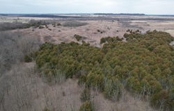 890 NW 100th Road, Liberal, MO 64762