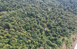 608 Forest Rd, Mifflintown, PA 17059