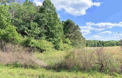 18 Acres Water Tank Road, Union Grove, AL 35175