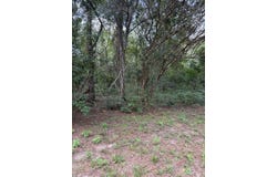 203 Hicks Rd, Thomasville, GA 31792