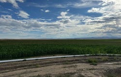 Lane 23, Byron, WY 82412