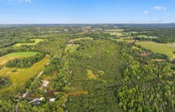 6890 E 46 ROAD, CADILLAC, MI 49601