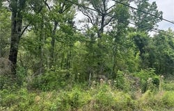 12258 North Central Avenue, Roseland, LA 70456