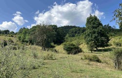 Dryfork Road, Dryfork, WV 26263