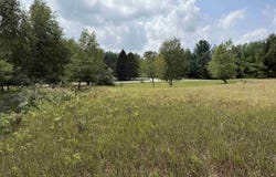 Westchester Drive lot: 101, Gladwin, MI 48624