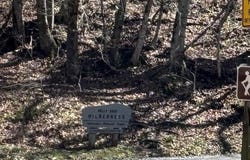 60 Black Bear Lane, Dryfork, WV 26263