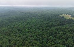 120 Cr 23, Melbourne, AR 72556