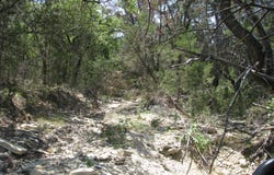 Private Road lot: 11 Ph 5, Evant, TX 76525