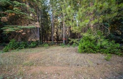 Nehemiah Drive, Shingletown, CA 96088