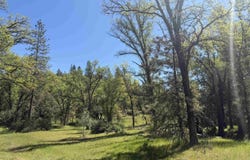 Groveland, CA 95321