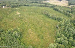 County Road 481, Paris, MS 38949