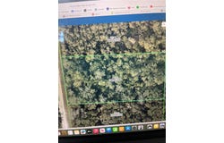 9431 RIVER ROCK Drive, WEBSTER, FL 33597