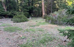 0000 CA-44, Shingletown, CA 96088