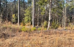 Stapleton Acres Drive lot: 32, Stapleton, GA 30823