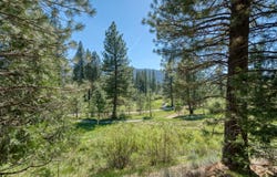 118 Saddle Ridge Road lot: 9, Clio, CA 96106