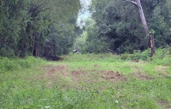 Bourke Road, Natchez, MS 39120