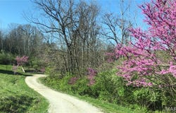 430 Riverview Dr, Golden Eagle, IL 62036