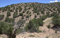 Tres Amigos, Placitas, NM 87043
