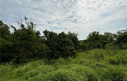 EAGLES LANDING lot: 50 & 52, Edwards, MO 65326