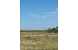 S FM 1258 - Williams, Amarillo, TX 79118