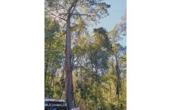Riverroad Drive, Gulfport, MS 39503