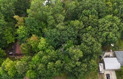 Lighthouse Drive lot: 49, Lake, MI 48632