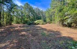 Sun Road Tract, Lake, MS 39092