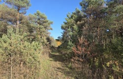 Leya Lane, Beulah, MI 49617