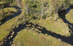 52524 Johnson Road, Three Rivers, MI 49093