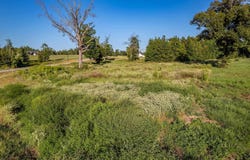16534 Ridgeline Loop Lot 108, Winona, TX 75792