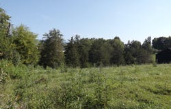 Shawanee Rd, Harrogate, TN 37752