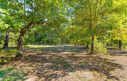 Tract 1 CR 144, Oakland, AR 72661