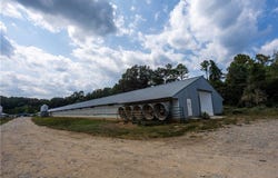 51 White Drive, Other AR, AR 72521