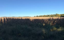 Jacksonville Road, Peebles, OH 45660