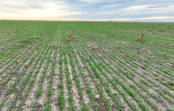 1 County Road 119, Haskell, TX 79521