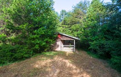 408 Shadden Rd, Tellico Plains, TN 37385