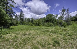 CLEARVIEW Court, HAZELHURST, WI 54531-0000